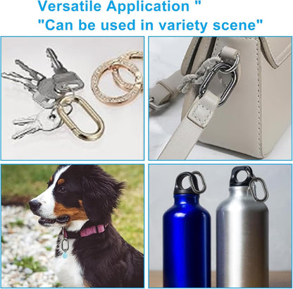 Oval Carabiner Clip